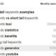 How to Increase Website Traffic with the Help of Long-Tail Keywords